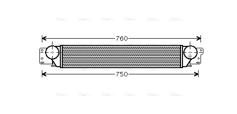 AVA OL4442