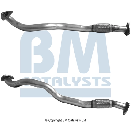 BM CATALYSTS BM50096
