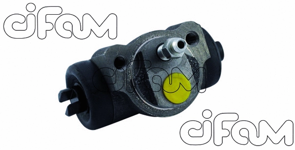 CIFAM 101929