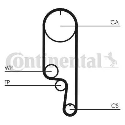 CONTITECH CT1008WP2