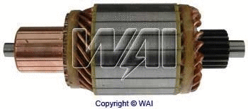 WAI 61151