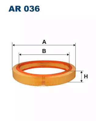 CHAMPION CAF100228R