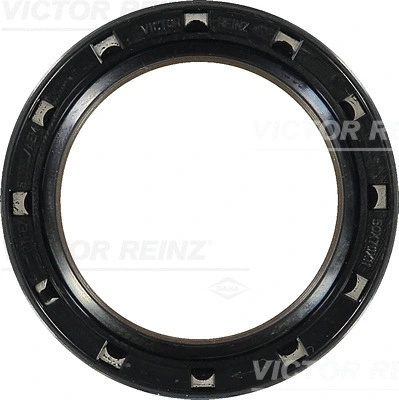 VICTOR REINZ 813823700