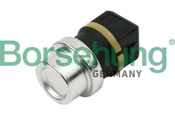 BORSEHUNG B13134