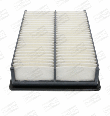 CHAMPION CAF100831P