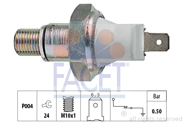 FACET 70119