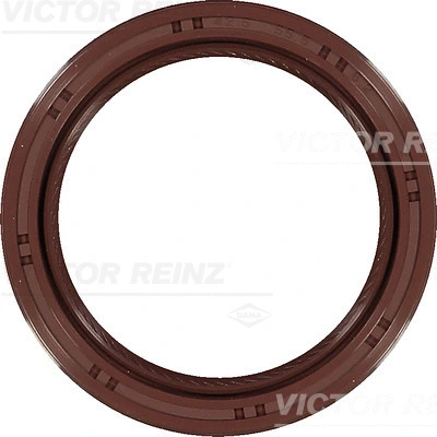 VICTOR REINZ 811038000