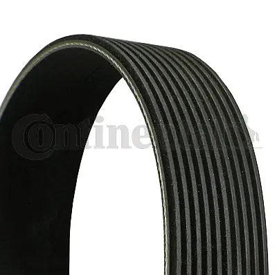 CONTITECH 10PK1538