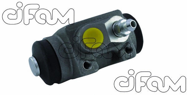 CIFAM 101907