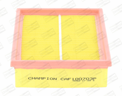 CHAMPION CAF100703P