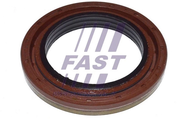 FAST FT49785