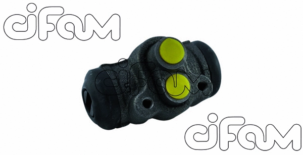 CIFAM 101920
