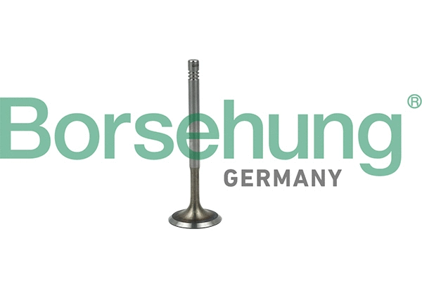 BORSEHUNG B19019