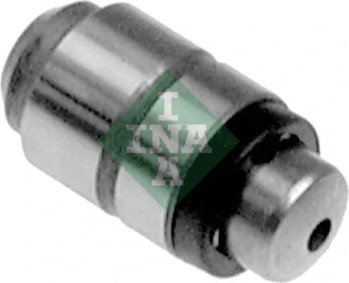 INA 420020010