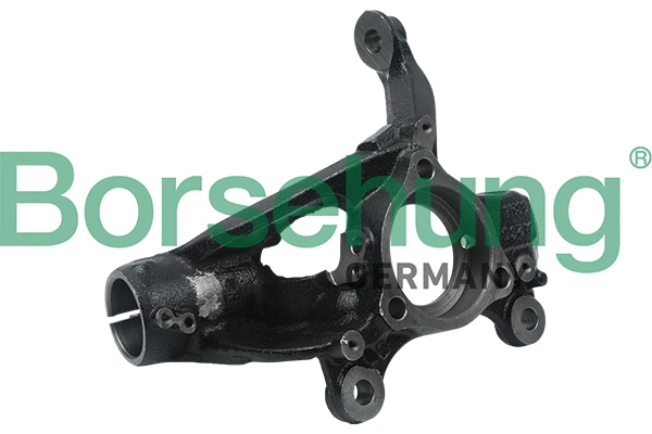 BORSEHUNG B18508