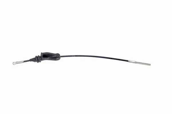 CAVO 3402686