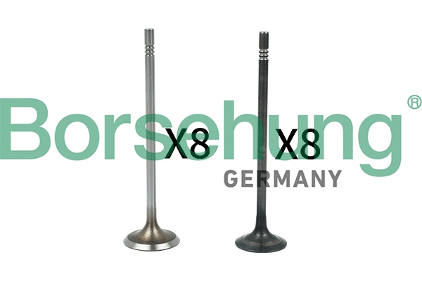 BORSEHUNG B18631