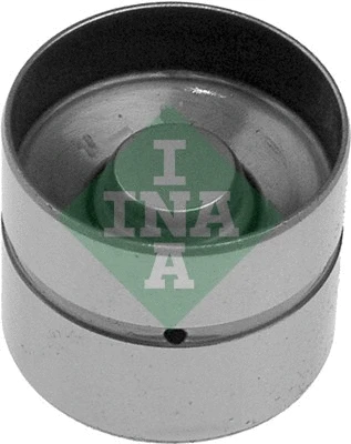 INA 420017610