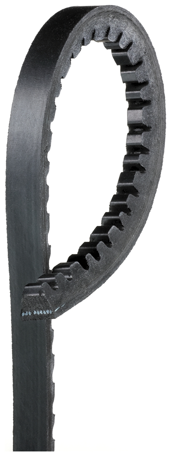 DAYCO 10A1350HD