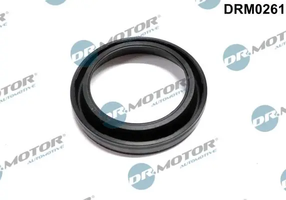 DR.MOTOR DRM0261
