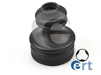 ERT 500300