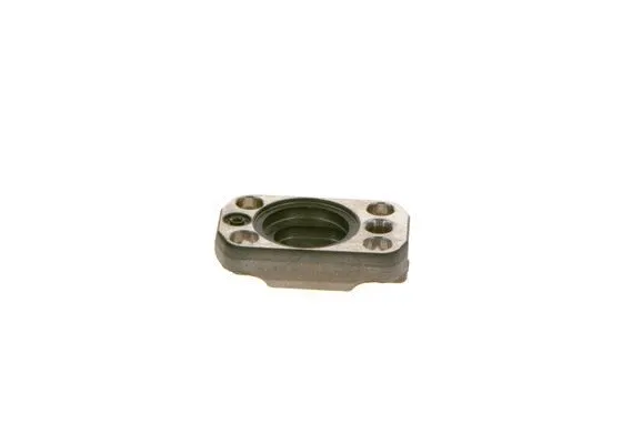 BOSCH F01M100221