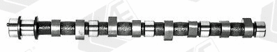 AE CAM389