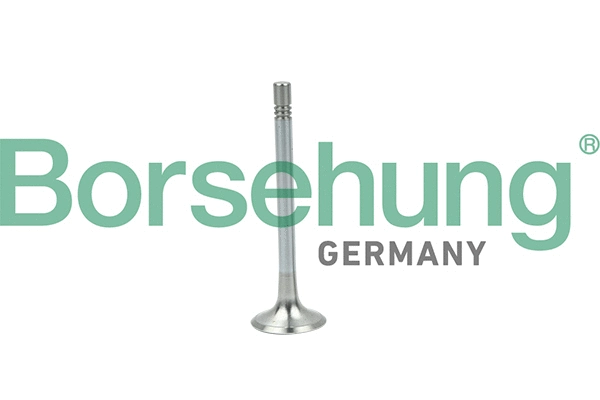BORSEHUNG B19004