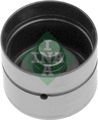 INA 420006110