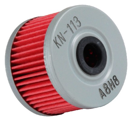 K&N FILTERS KN113