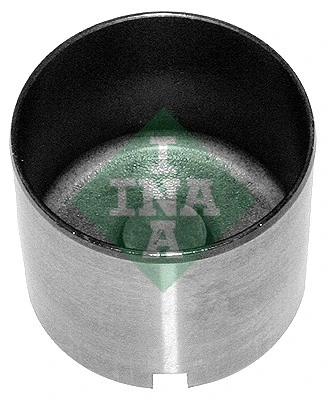 INA 421005910