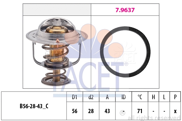 FACET 78650
