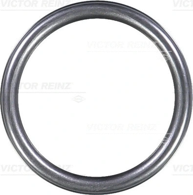 VICTOR REINZ 407631310