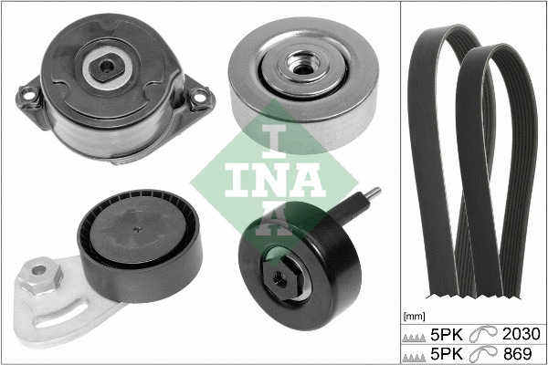 INA 529025310
