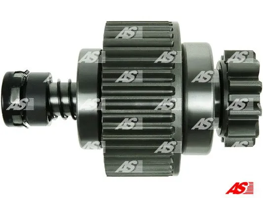 AS-PL SD2024