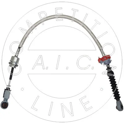 AIC 58977