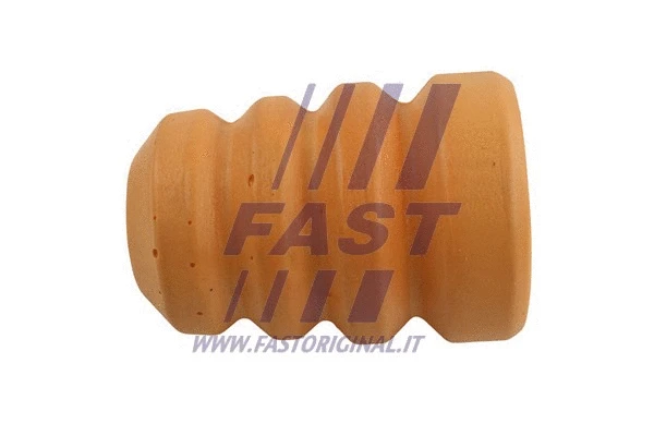 FAST FT18113