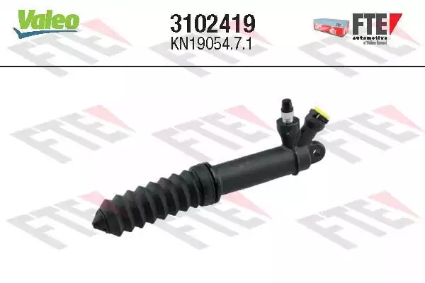 FTE 3102419