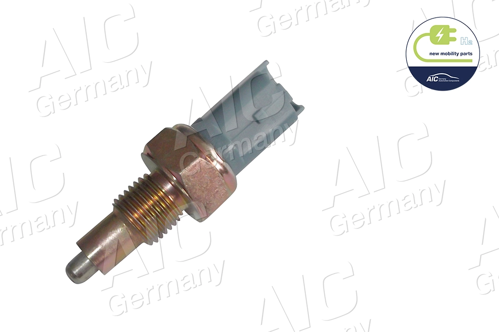 AIC 55394
