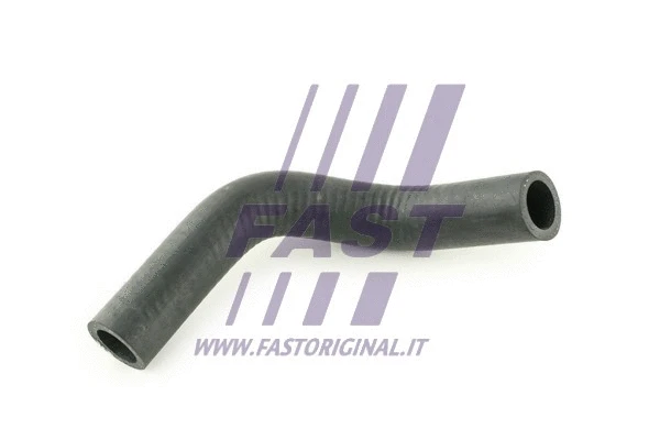 FAST FT61681
