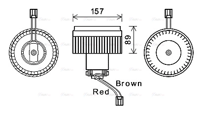 AVA VO8176