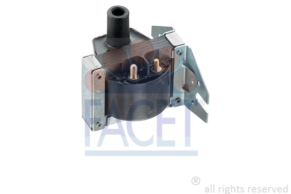 FACET 96027