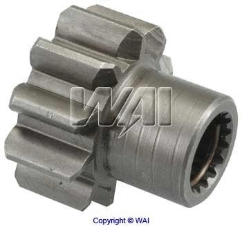 WAI 5482209