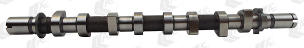 AE CAM983