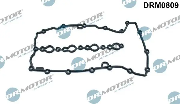 DR.MOTOR DRM0809