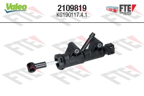 FTE 2109819