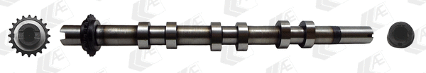 AE CAM987