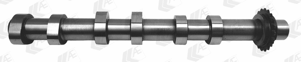 AE CAM985