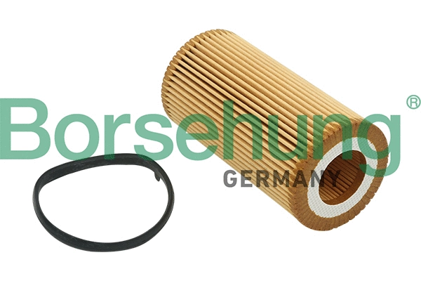 BORSEHUNG B12815