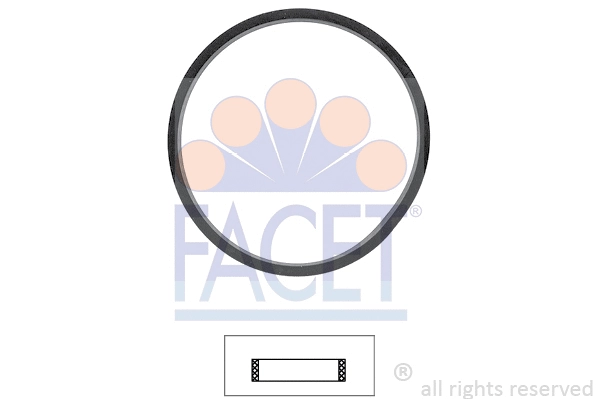 FACET 79706